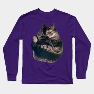 Snuggle Kitty Long Sleeve T-Shirt